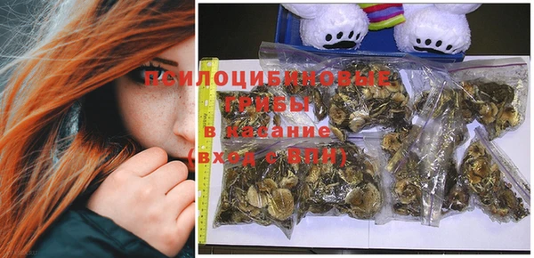 крисы Зеленодольск