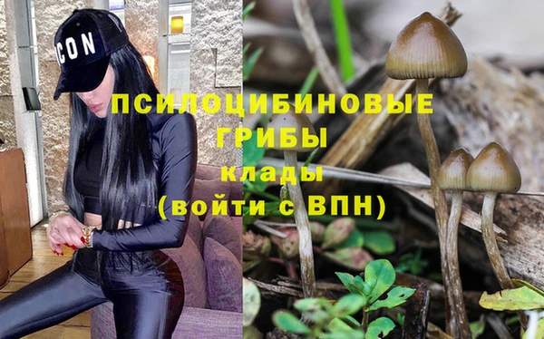 гидропоника Зерноград