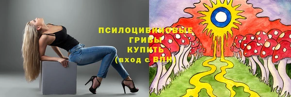 крисы Зеленодольск